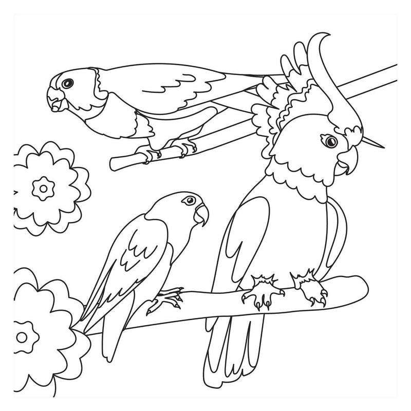 Chargez l'image dans la visionneuse de la galerie, Kleurboek - birds nieuw
