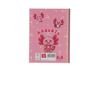 Load image into Gallery viewer, Boek vriendenboek axolotl | 2 stuks
