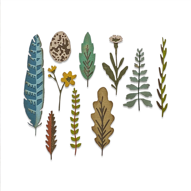Load image into Gallery viewer, Sizzix • tim holtz thinlits die set funky nature 10pcs

