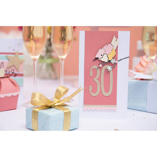Sizzix • thinlits die set fabulous frames borders by debi potter