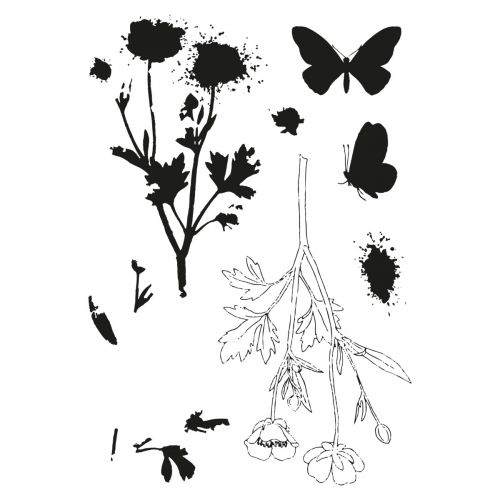 Load image into Gallery viewer, Sizzix • clear stamps set a5 with framelits die painted pencil botanical

