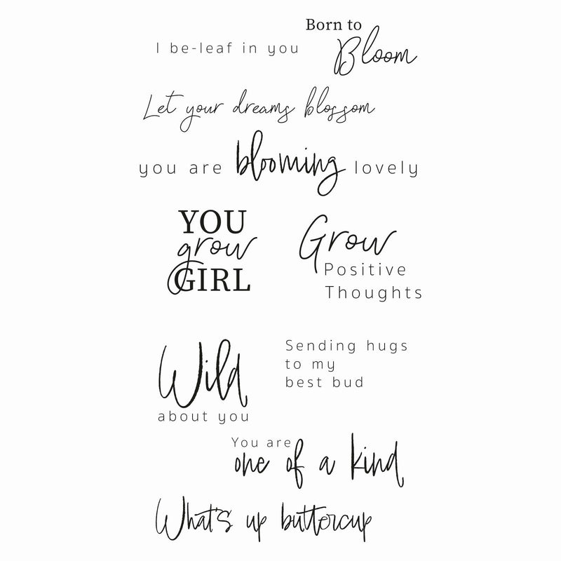 Load image into Gallery viewer, Sizzix • clear stamp set born to bloom 10pcs
