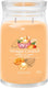 Yankee candle - mango ice cream large jar geurkaars - 90 branduren - twee lonten