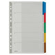 Tabbladen leitz grijs a4 160g m² gekleurde tabs