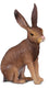 Collecta figurine - bruine haas - (s) - bosdieren - handgeschilderd - miniatuur