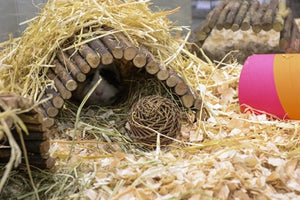 Nature first happy pet playstix knaaghuis