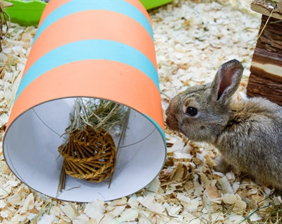 Afbeelding laden in galerijviewer, Happy pet wilgen value pack 2 sticks 2 ballen
