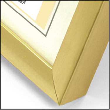 Zep fotolijst kg4 goud 20x30 cm