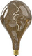 Calex organic evo xxl natural - e27 led lamp - filament lichtbron dimbaar - 6w - warm wit licht