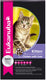 Eukanuba cat kitten - kip lever - kattenvoer - 10 kg