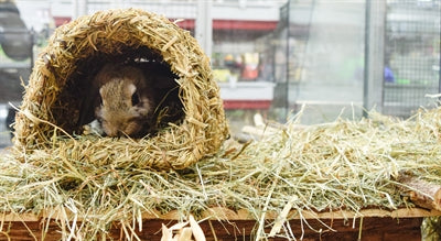 Load image into Gallery viewer, Happy pet grassy tunnel
