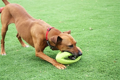 Load image into Gallery viewer, Happy pet grubber interactieve rugbybal
