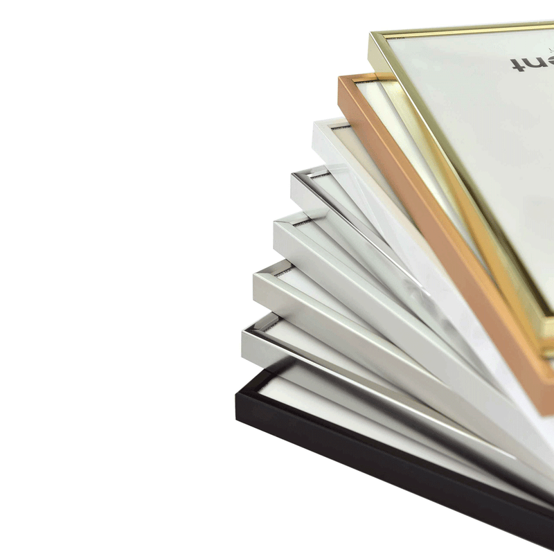 Load image into Gallery viewer, Nielsen design nielsen fotolijst 52724 accent mat zilver 50x70 cm
