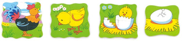 Groeipuzzel kip 4 lagen 18x18x1,3cm. 3+