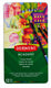 Derwent academy kleurpotloden in blik - geassorteerde kleuren - set van 12 kleurpotloden