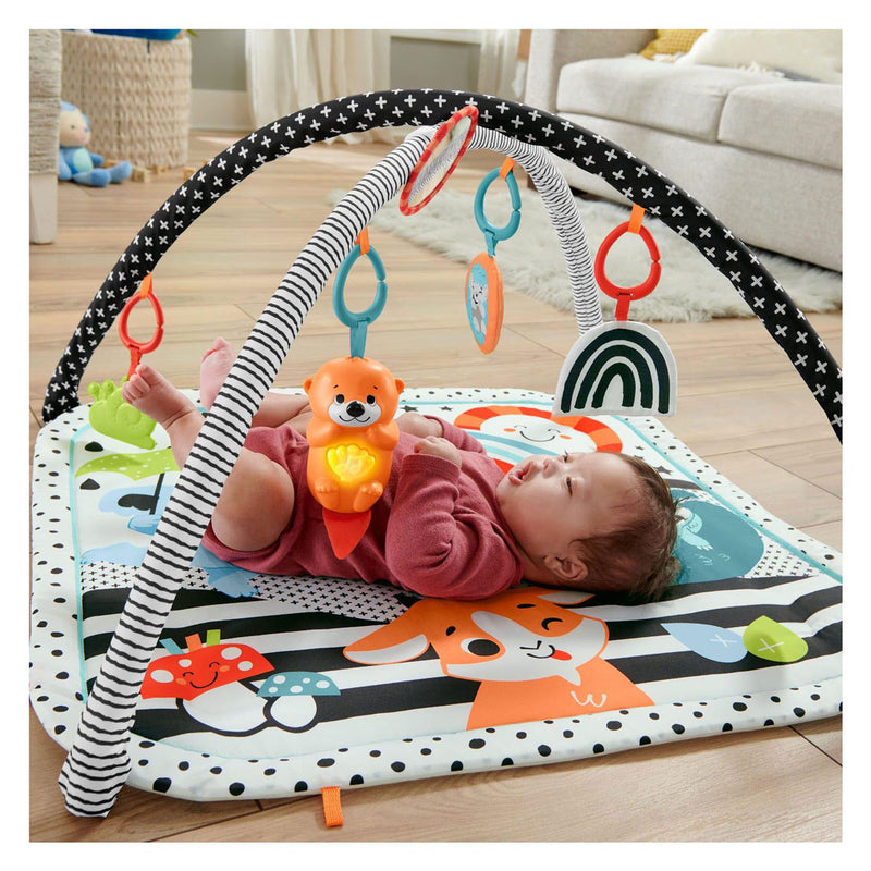 ギャラリービューアに画像をロードする, Fisher price fisher-price 3-in-1 muziek glow grow gym
