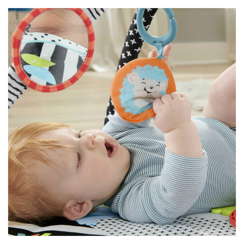 ギャラリービューアに画像をロードする, Fisher price fisher-price 3-in-1 muziek glow grow gym
