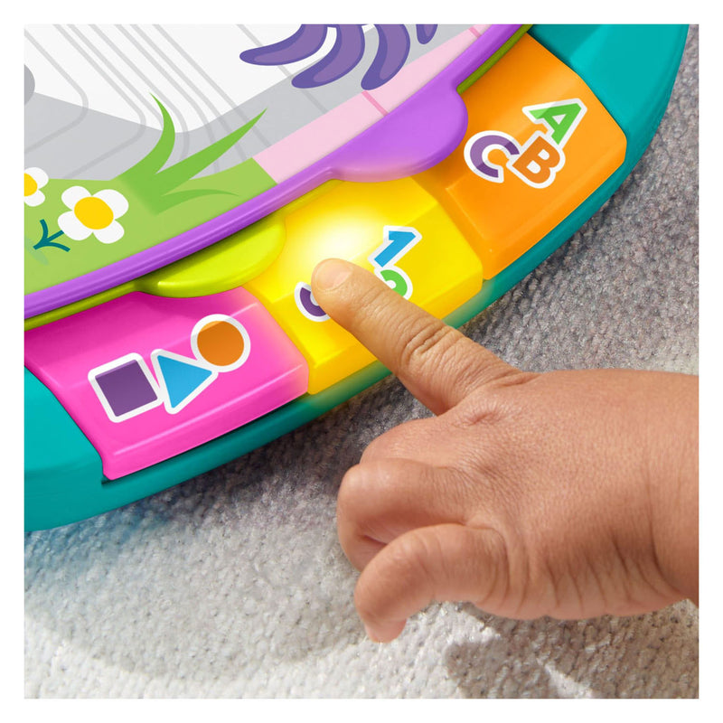 Afbeelding laden in galerijviewer, Mattel fisher-price leerplezier verhalenboek versjes - muzikaal boek met lichtjes en geluid
