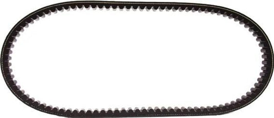 Malossi keilriemen verstärkt v-belts verst 22.5x814mm