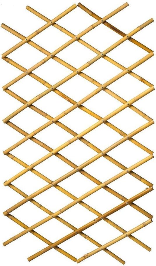 Nature - bamboe klimrek (rekbaar) - 45cm x 1,8m - l