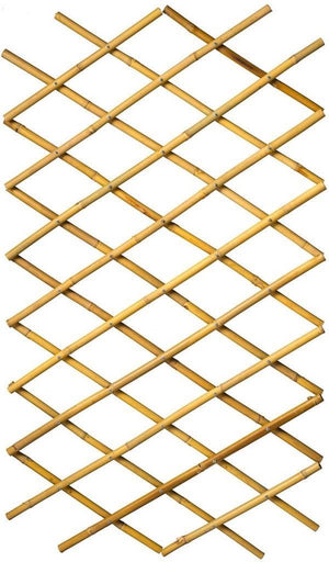 Nature - bamboe klimrek (rekbaar) - 45cm x 1,8m - l