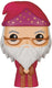 Funko pop! movies: harry potter - albus dumbledore