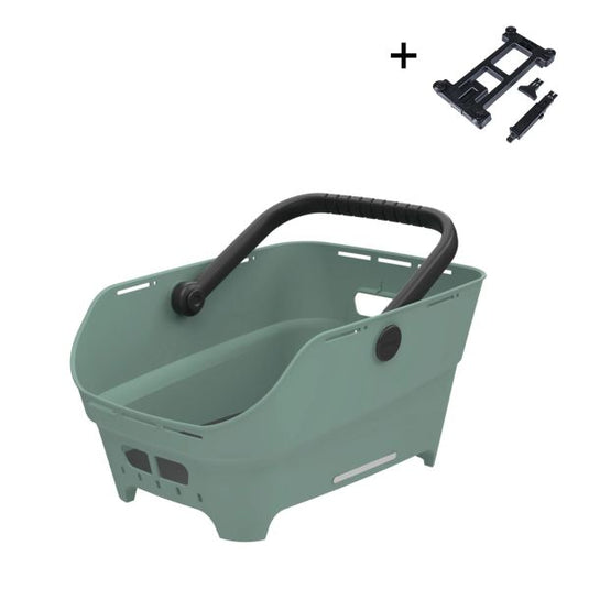 Basil mand cento neo wsl mik