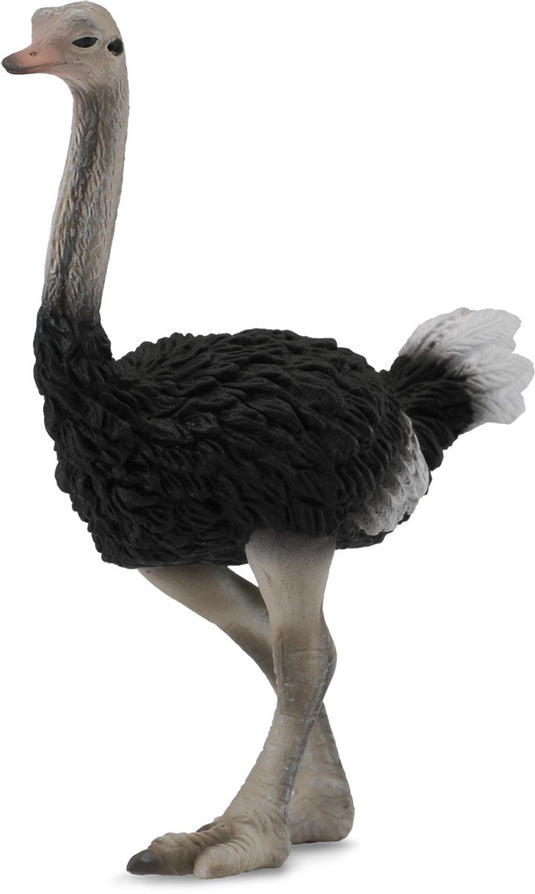 Collecta figurine - struisvogel - (l) - wilde dieren - handgeschilderd - miniatuur