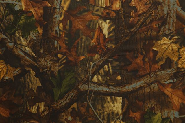 Load image into Gallery viewer, Buteo photo gear lenswarmer type 1 met 3 vakken
