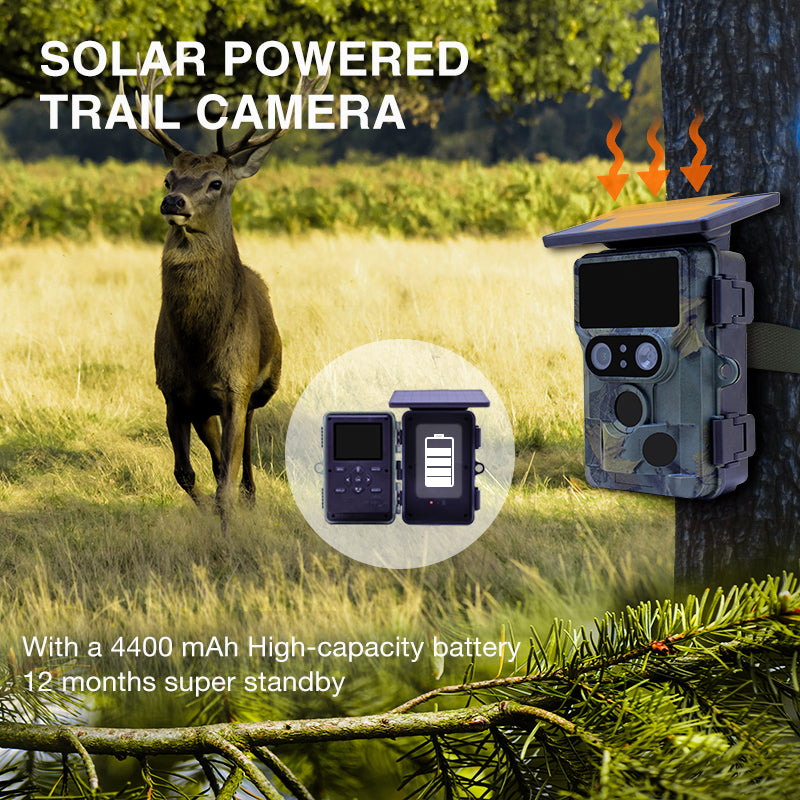 Chargez l'image dans la visionneuse de la galerie, Stealth gear nightjar dual-cam solar 4k wifi wildcamera
