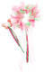 Little adventures - springtime fairy halo toverstaf