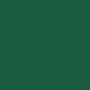 Duni servetten dark green 3-laags 33x33
