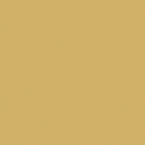 Duni servetten gold 33x33cm