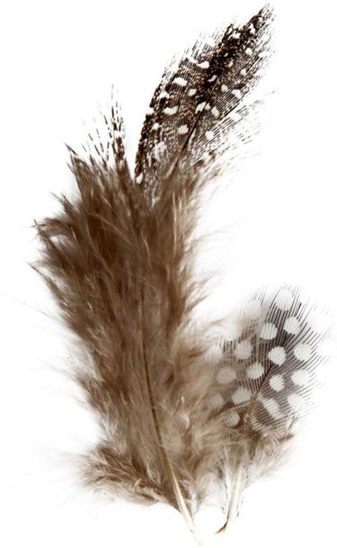 Creativ company https: www.cchobby.nl veren-van-parelhoen-ca-100-stuk-bruin-3-gr-1-doos