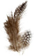 Creativ company cc parelhoen veren natuur 100 stuks