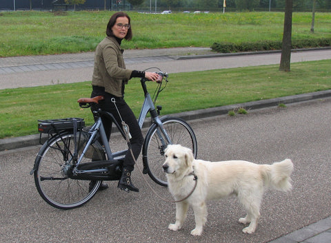 Springer honden-fiets-beugel