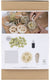 Creativ company cc hobbyset zeep maken loofah olijfgroen