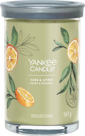 Yankee candle - sage citrus large tumbler geurkaars - 100 branduren - twee lonten