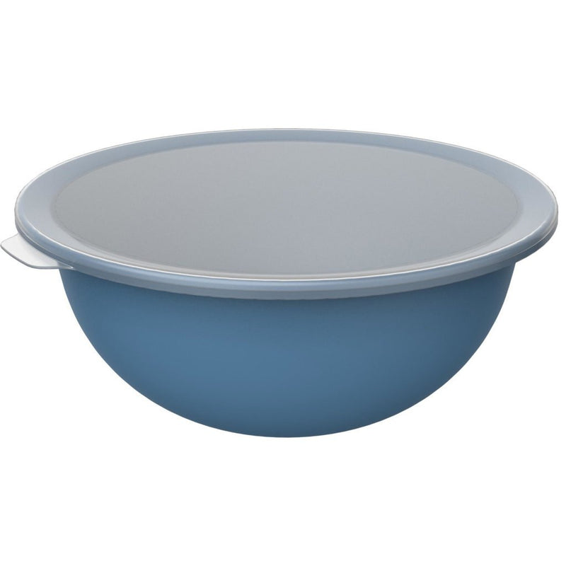 Load image into Gallery viewer, Rotho schaal met deksel 4.8l horizon blauw
