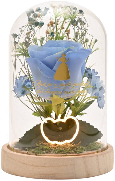 Disney princess ‘cinderella’ stolp met led
