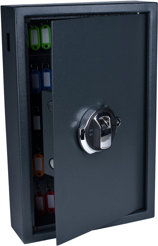 Pavo sleutelkast high security met fingerprintslot 50 haken 550x400x100mm