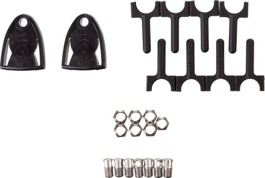 Sks stay set for chromoplastics