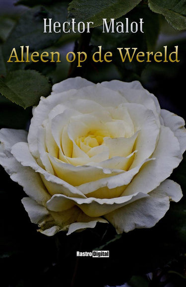 Alleen op de wereld