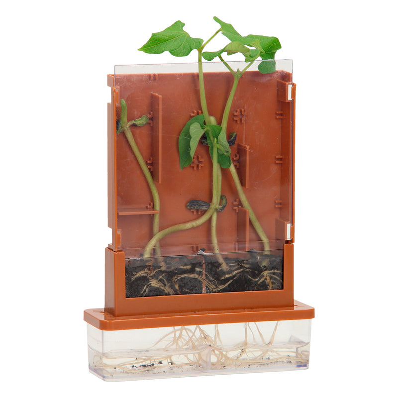 Load image into Gallery viewer, Experimenten - planten doolhof, 21dlg.
