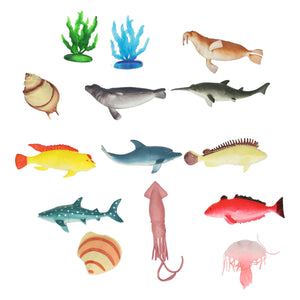 Zeedieren, 11st.