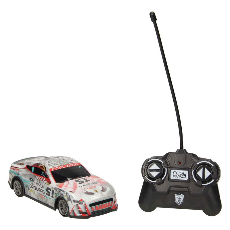 Load image into Gallery viewer, Rc bestuurbare racewagen softbody 51
