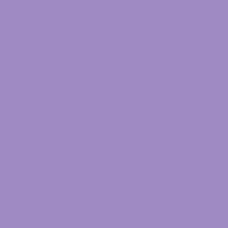 Load image into Gallery viewer, Silk clay https: www.cchobby.nl silk-clayr-paars-40-gr-1-doosje
