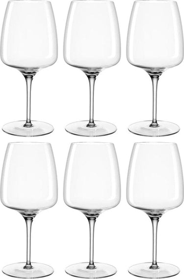 Leonardo rode wijnglas 500ml cesti - set 6