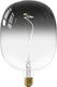 Calex avesta colors gris - e27 led lamp - filament lichtbron dimbaar - 5w - warm wit licht