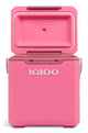 Igloo tag-a-long too highrise koelbox - geïsoleerd - lekvrij - dekselvergrendeling - roze